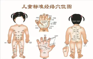 穴位图图片