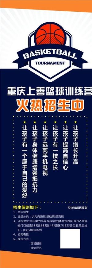 篮球 招生图片