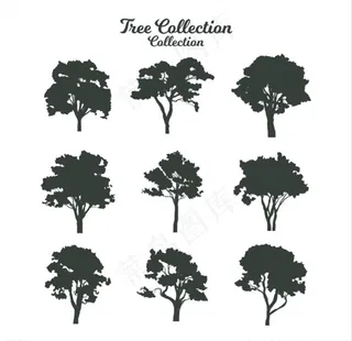 树剪影图片