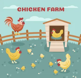鸡栏图片 鸡栏图片