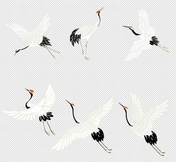 仙鹤丹顶鹤古风鹤图片