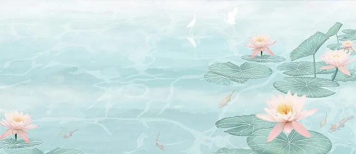 荷花池塘背景图片