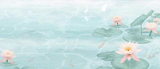 荷花池塘背景图片