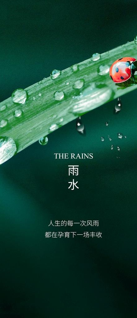 雨水谷雨节气海报图片(1063x2303)psd模版下载