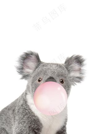 动物 吹泡泡 可爱 逗趣 唯美图片