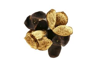 陈皮白底图图片