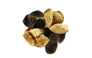 陈皮白底图图片