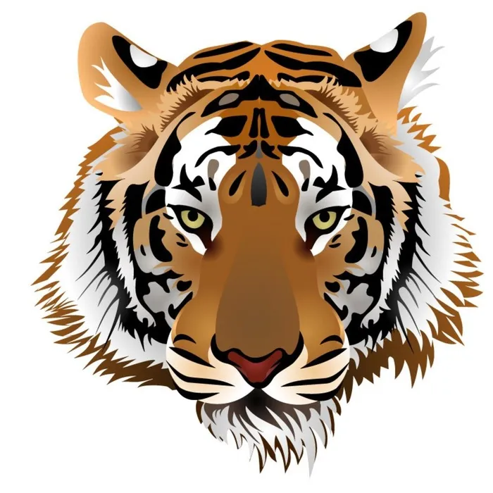 矢量老虎图片eps,ai矢量模版下载