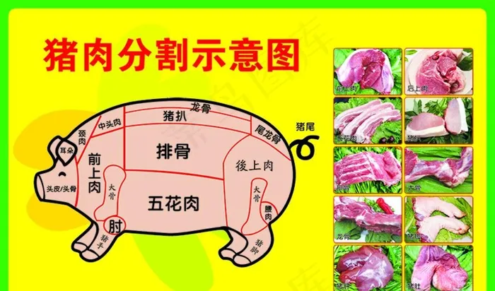 猪肉分割示意图图片psd模版下载