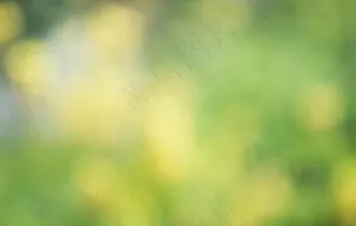 绿色光斑朦胧背景图片