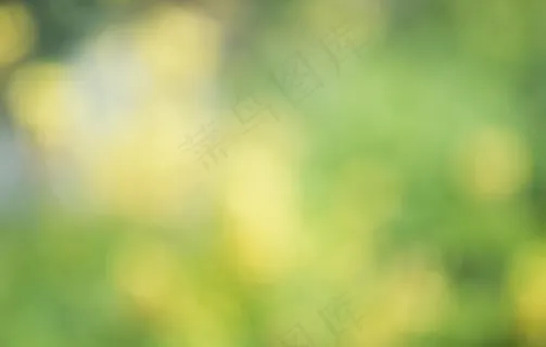 绿色光斑朦胧背景图片 绿色光斑朦胧背景图片