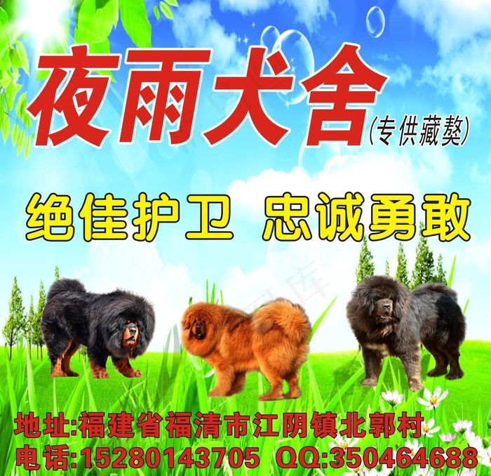 藏獒图片cdr矢量模版下载