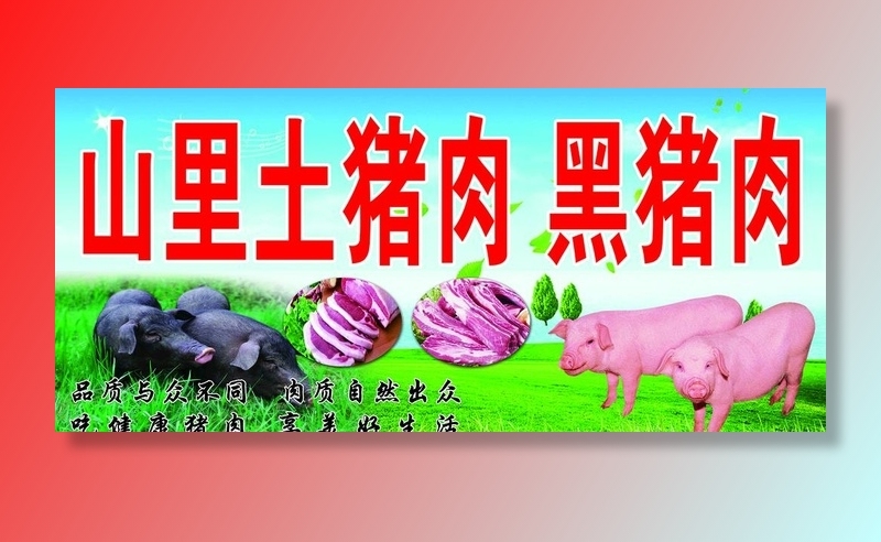 土猪黑猪猪肉图片