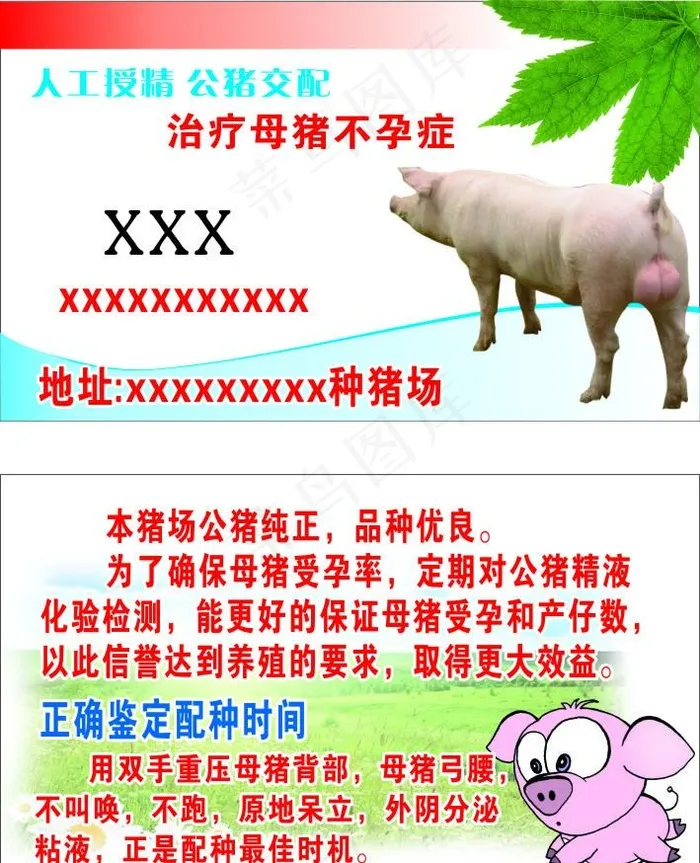 种猪场图片cdr矢量模版下载