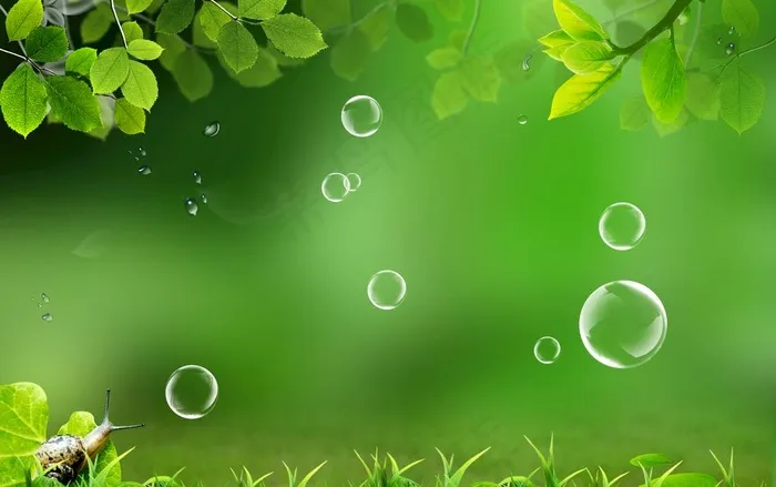 绿色背景图片psd模版下载