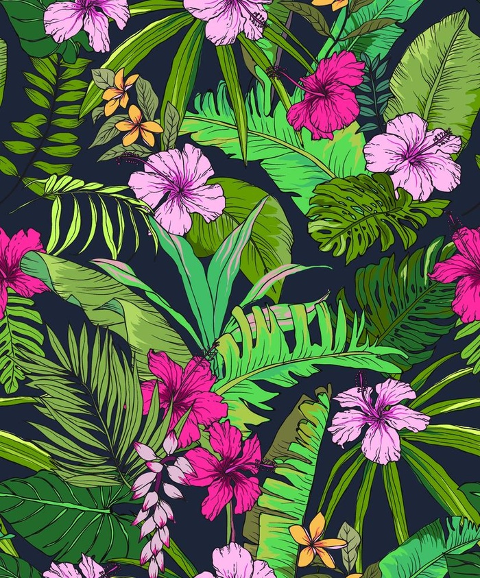 热带植物 芭蕉叶 花卉图片