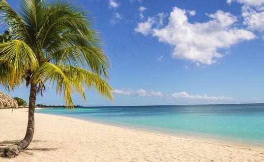 蓝天白云大海椰树图片