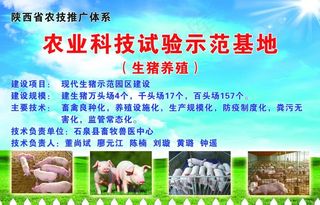 生猪养殖示范基地图片