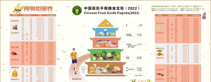 健康金字塔图片
