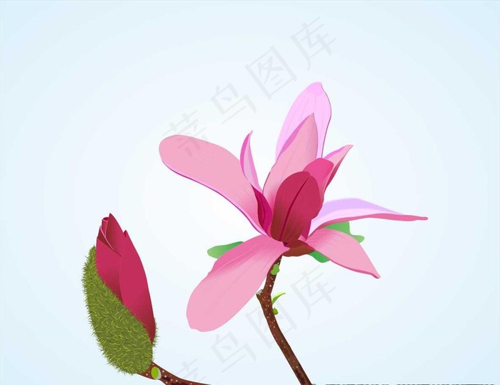 矢量粉色花朵图片