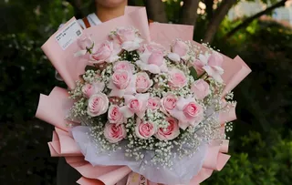 33支粉雪山玫瑰加白色满天星图片