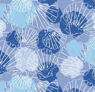 贝壳底纹图片