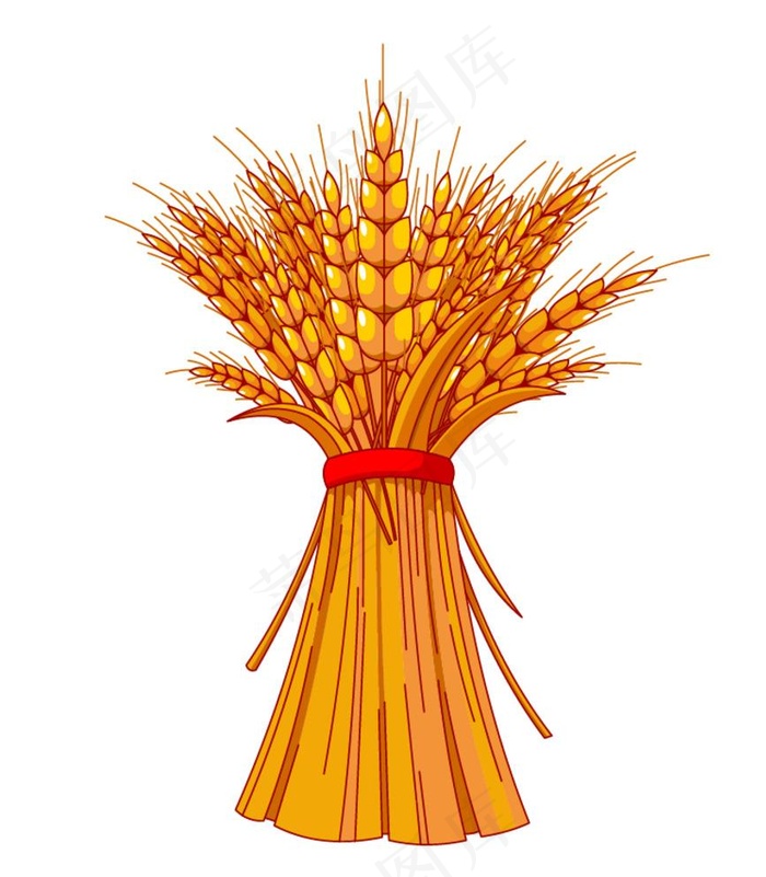 麦穗图片ai矢量模版下载