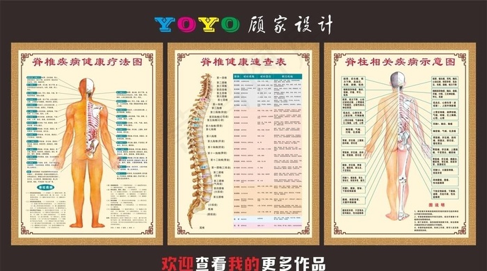 脊柱示意图图片cdr矢量模版下载