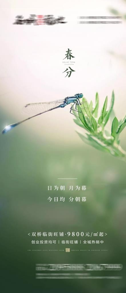 春分图片psd模版下载