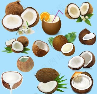 椰子图片