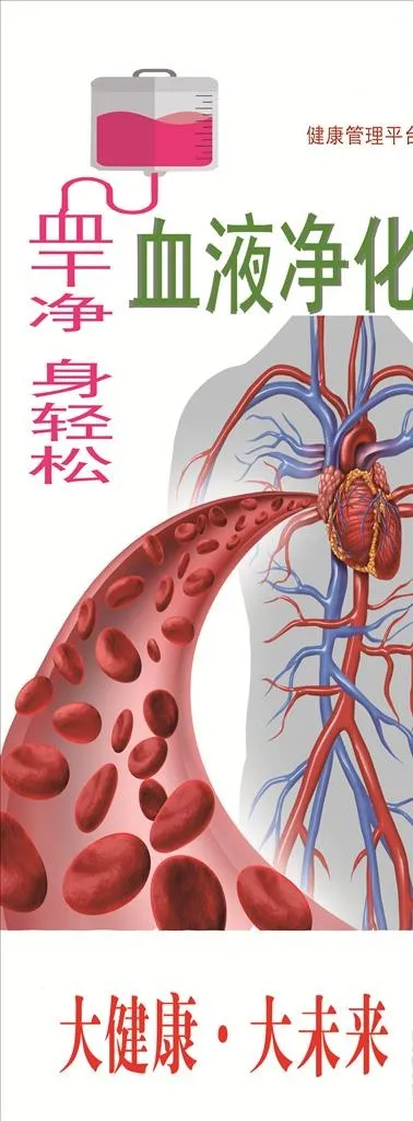 易拉宝血液净化图片(1024x3216)psd模版下载