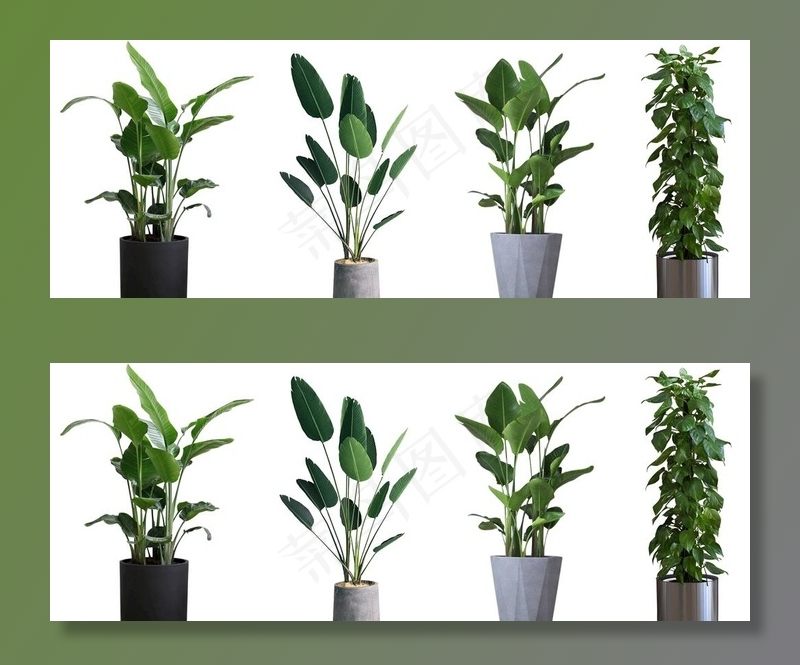 绿植免抠png素材图片psd模版下载