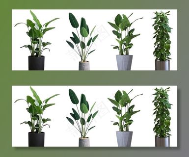 绿植免抠png素材图片