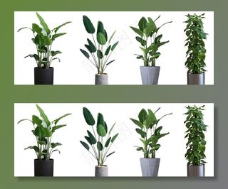 绿植免抠png素材图片