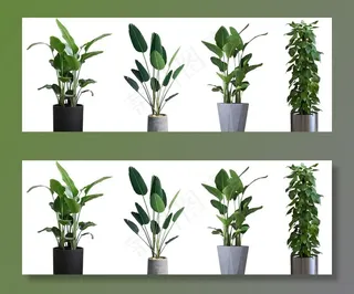 绿植免抠png素材图片