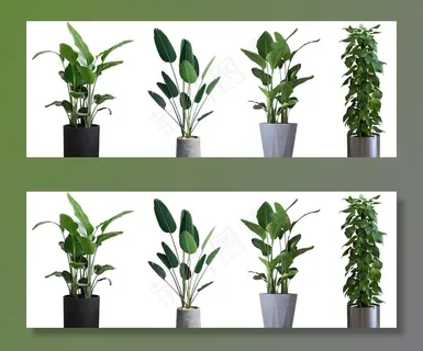 绿植免抠png素材图片 绿植免抠png素材图片