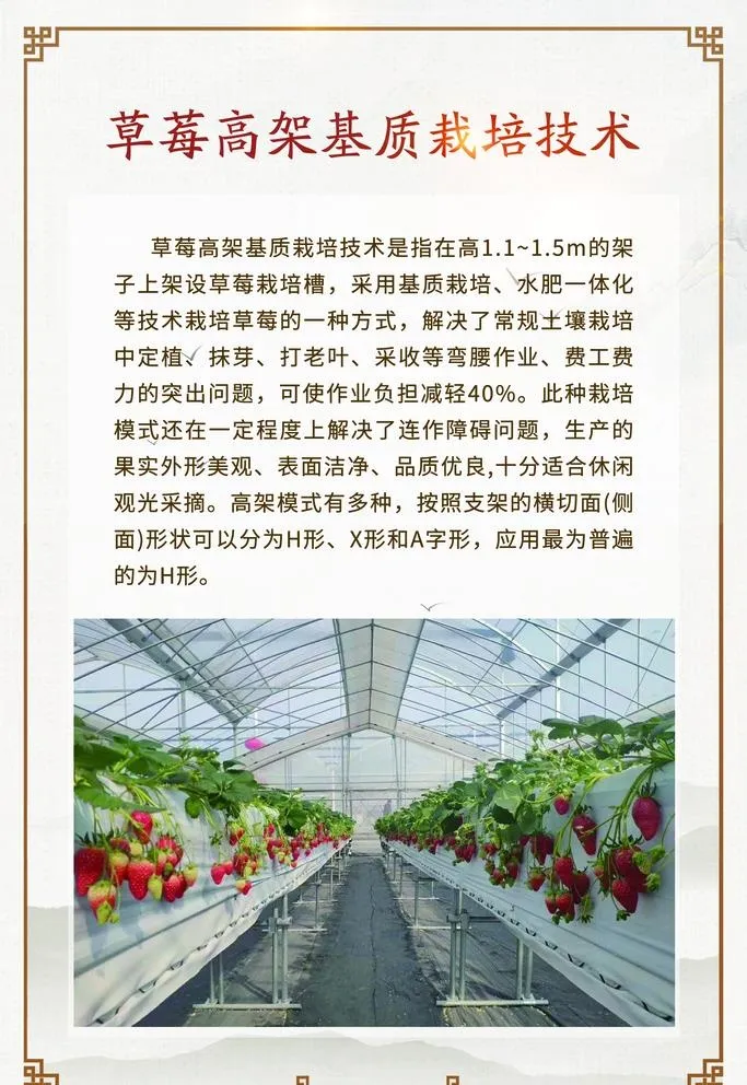 草莓展板图片(1701x2551)psd模版下载