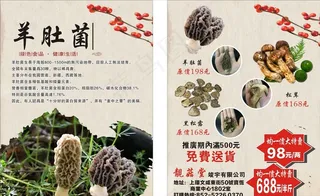 羊肚菌宣传单图片