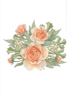 花朵花卉矢量图下载图片