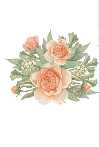 花朵花卉矢量图下载图片