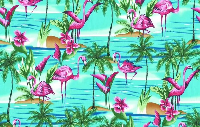 热带叶子图片(6168x4110)