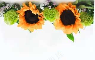 向日葵图片