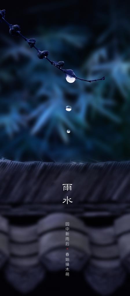 雨水 雨水海报 雨水节气图片(1080x2300)psd模版下载