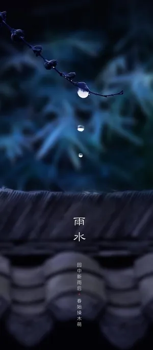 雨水 雨水海报 雨水节气图片
