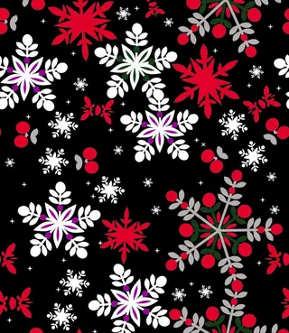 雪花  圣诞节图片