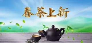 春茶上新图片