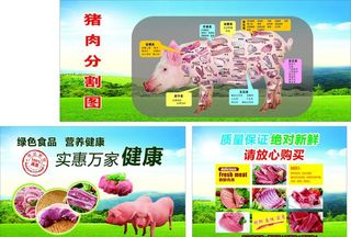 猪肉分割海报图片