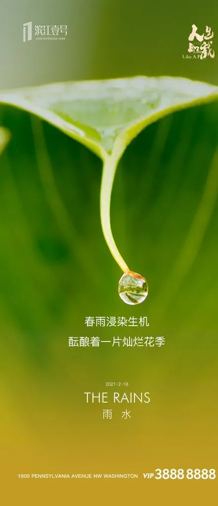雨水图片(1125x2436)psd模版下载