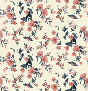 大牌花图片 大牌花图片