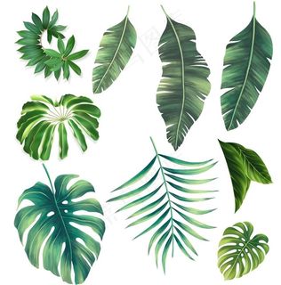 免抠的绿色叶子图片